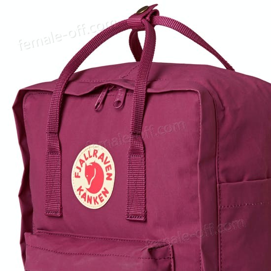 The Best Choice Fjallraven Kanken Classic Backpack - -2