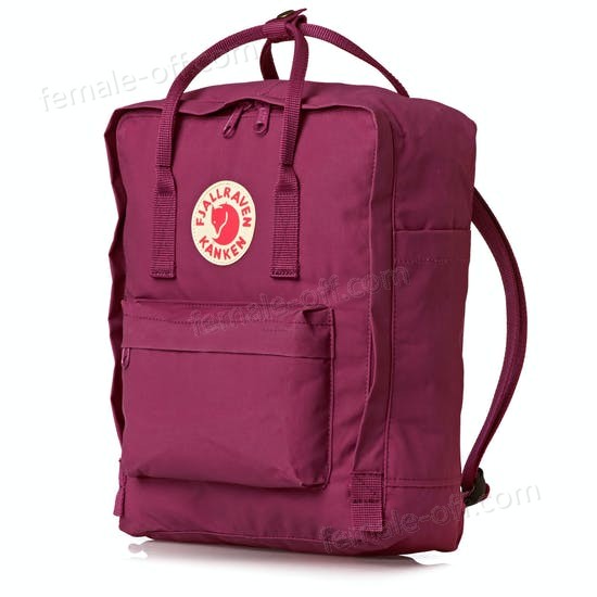 The Best Choice Fjallraven Kanken Classic Backpack - -5