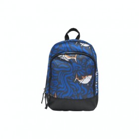 The Best Choice Quiksilver Chompine Boys Backpack