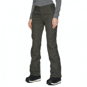 The Best Choice Holden Standard Skinny Womens Snow Pant