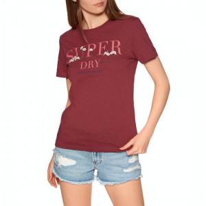 The Best Choice Superdry Serif Floral Embroidered Entry Womens Short Sleeve T-Shirt