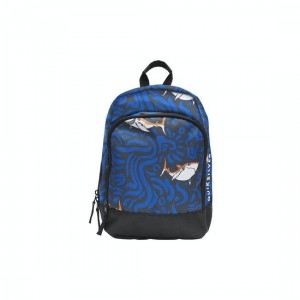 The Best Choice Quiksilver Chompine Boys Backpack