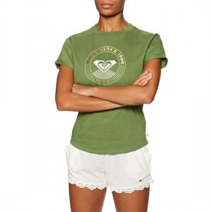 The Best Choice Roxy Epic Afternoon Corpo Womens Short Sleeve T-Shirt