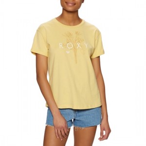 The Best Choice Roxy Epic Afternoon Logo Womens Short Sleeve T-Shirt