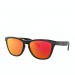 The Best Choice Oakley Frogskins Sunglasses