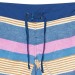 The Best Choice Patagonia Wavefarer 5 Inch Womens Boardshorts - 3