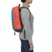 The Best Choice Patagonia Arbor Day 20l Backpack - 1
