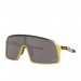 The Best Choice Oakley Sutro Sunglasses
