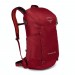 The Best Choice Osprey Skarab 22 Hiking Backpack