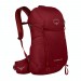 The Best Choice Osprey Skarab 30 Hiking Backpack