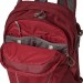 The Best Choice Osprey Daylite Laptop Backpack - 10